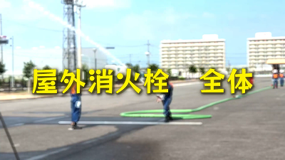 P Oΐ𑀖@̕iʂj